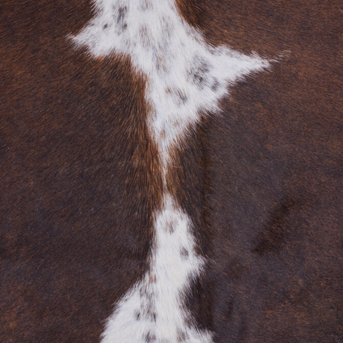 Cowhide Rug JAN25-057 (240cm x 200cm) - Image 3