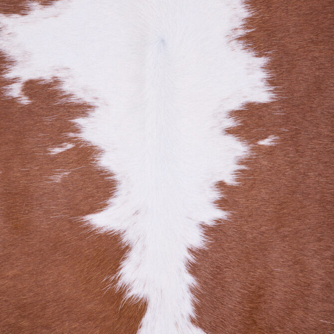 Cowhide Rug FEB25-129 (220cm x 210cm) - Image 4