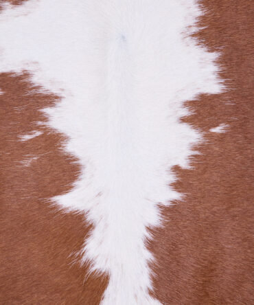 Cowhide Rug FEB25-129 (220cm x 210cm)
