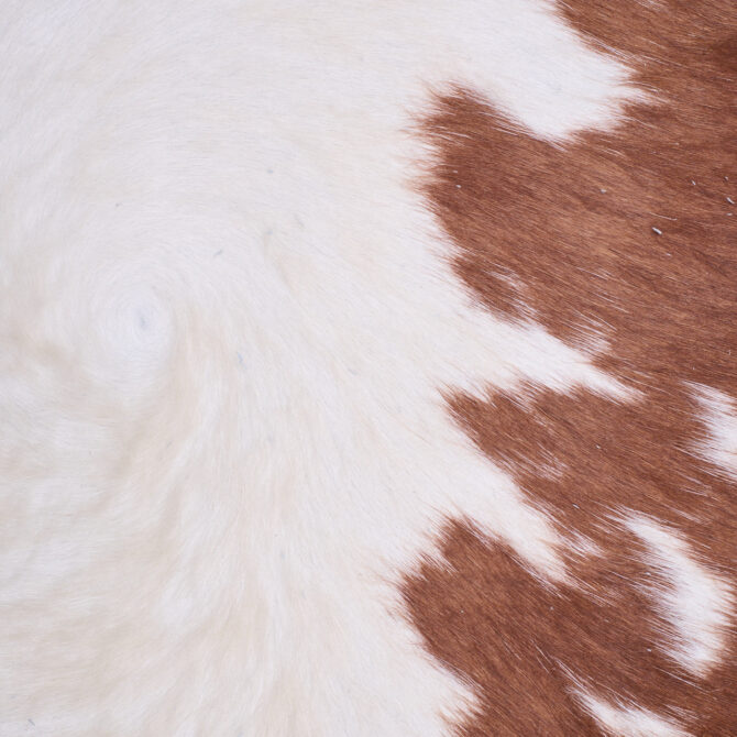 Cowhide Rug FEB25-129 (220cm x 210cm) - Image 2