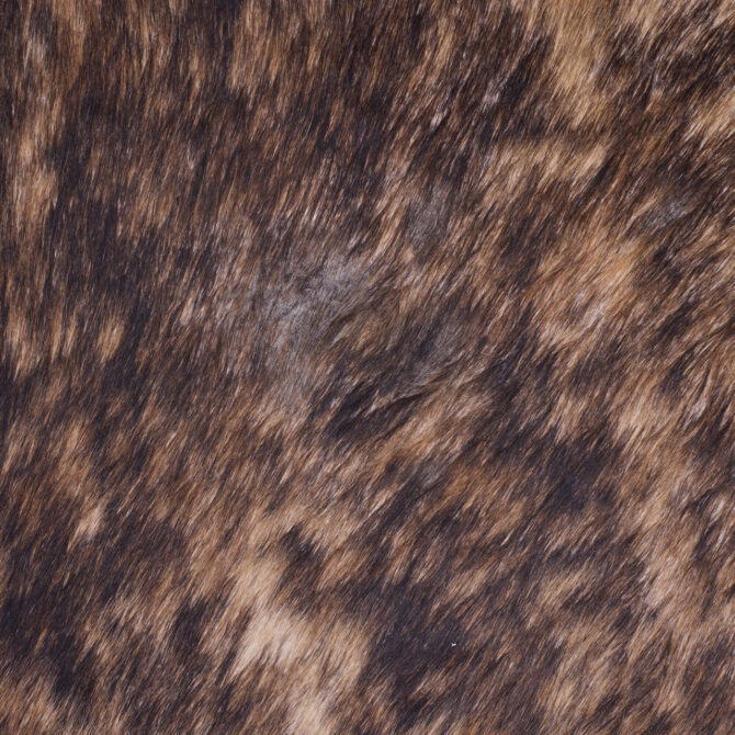 Cowhide Rug JAN25-030 (250cm x 215cm) - Image 2