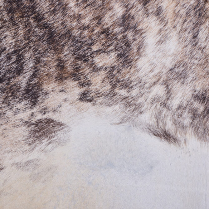 Cowhide Rug JAN25-034 (220cm x 220cm) - Image 2